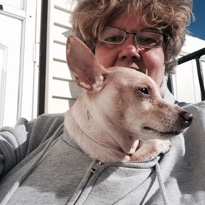 Meet your Posher, Ann